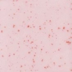 SP-201 Speckled Pink-A-Boo